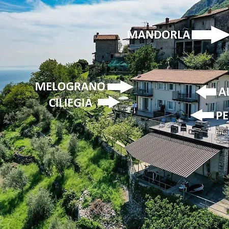 Mandorla Tignale